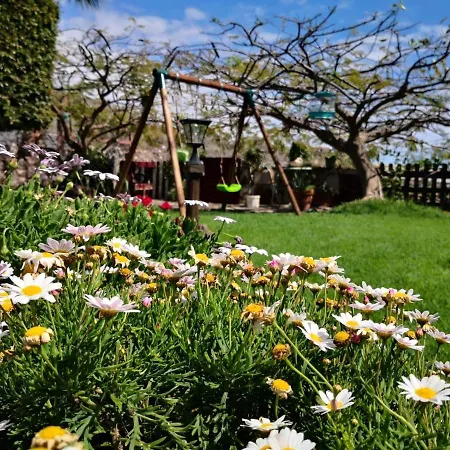 Tara Feriehus Alcalá la Real