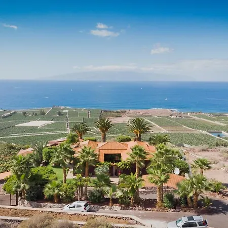 Tara Alcala (Tenerife)