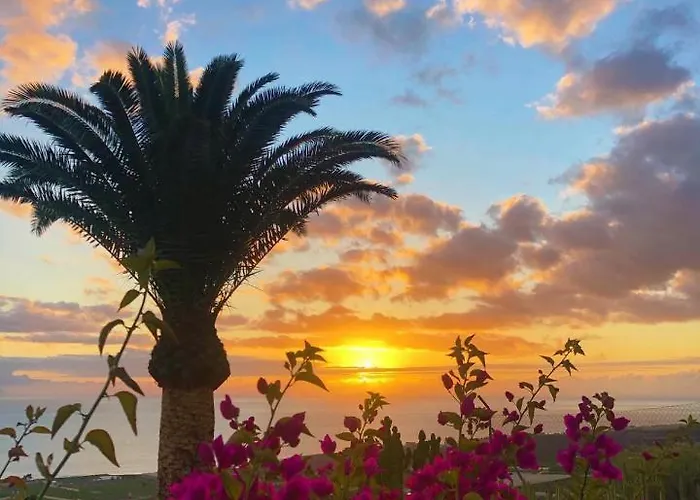 Tara Дом отдыха Алькала