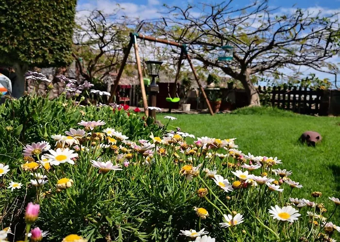 Tara Дом отдыха Алькала