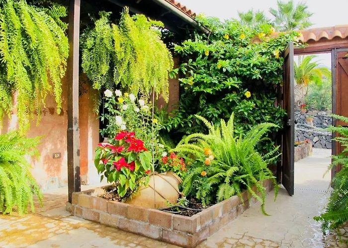 Tara Дом отдыха